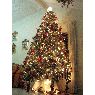 Sapin de No�l de Carlos Enrique Espinoza Ochoa (Ciudad de Guatemala, Guatemala)