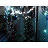 Miguel Angel's Christmas tree from Sevilla, Espa�a