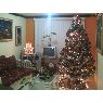 Sapin de No�l de Albina Maria Gonzalez Rivas (Barcelona, Anzoategui, Venezuela)