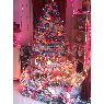 Berthet Angelique's Christmas tree from Carcassonne, France