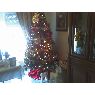 Lopez Hervas-Lopez Pampanas's Christmas tree from Villaca�as, Toledo, Espa�a