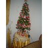 Carolina P�rez Matamala's Christmas tree from Concepci�n, Chile