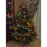 Claudia Almeda Luna's Christmas tree from C�rdoba, Espa�a
