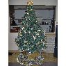 Sandy's Christmas tree from Quebec