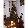 Edith Rodriguez's Christmas tree from Portugal