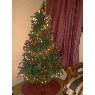 Familia Gonzalez Silvera's Christmas tree from Guarico, Venezuela