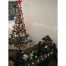 Hugo's Christmas tree from Buenos Aires, Argentina