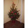 Antonio Mac�as's Christmas tree from Sevilla, Espa�a