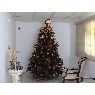 Weihnachtsbaum von Erika Williams (Panam�)
