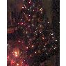 Hector Ponce Blanco's Christmas tree from guerrero negro b.c.s. mexico