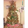Gisele Coto's Christmas tree from San Pedro Sula, Honduras