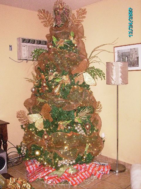 Gisele Coto (San Pedro Sula, Honduras)