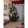 Roberto Martin Duranza's Christmas tree from Tenerife, Espa�a