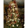 Ade's Christmas tree from Barinas, Venezuela
