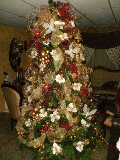 Ade (Barinas, Venezuela)