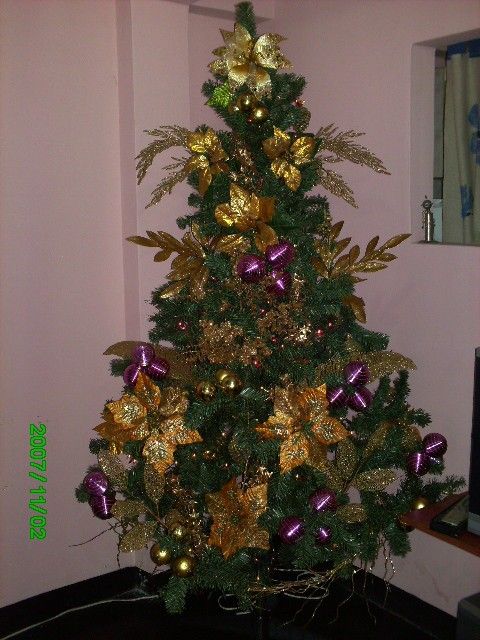 Shirley Salcedo Palacio (San Cristobal, T�chira, Venezuela)