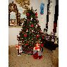 Weihnachtsbaum von Ana Soraya (Venezuela)