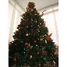 Daniela Ayala's Christmas tree from Caracas, Venezuela