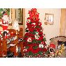 JHOAN CARRERO's Christmas tree from SAN CRISTOBAL VENEZUELA