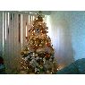 Iraida bolivar's Christmas tree from Caracas venezuela