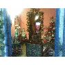 Luz Marina de Gonzalez's Christmas tree from Maracaibo, Venezuela