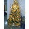Weihnachtsbaum von Yoksana (Venezuela)