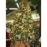 Sapin de No�l de Jennifer Aguinaga Araya (San Jos�, Costa Rica)