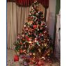 Luz Marina Restrepo Conde's Christmas tree from Barranquilla, Colombia