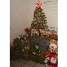 Eduardo M.'s Christmas tree from Cd. Puebla, M�xico