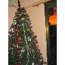 Juan Antonio S�ez P�rez's Christmas tree from Faura Espa�a