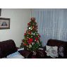 Alba's Christmas tree from Canarias, Espa�a