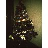 Rosa's Christmas tree from Ibiza, Espa�a