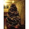Weihnachtsbaum von Nohora C. (Oca�a, Colombia)