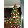 Mar�a y Marta's Christmas tree from Las Rozas, Madrid, Espa�a