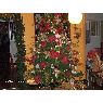 Violeta Urquiola's Christmas tree from Barinas, Venezuela