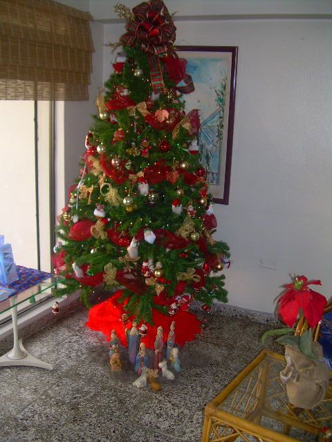 Fatima Guzman (La Romana, Dom. Rep.)