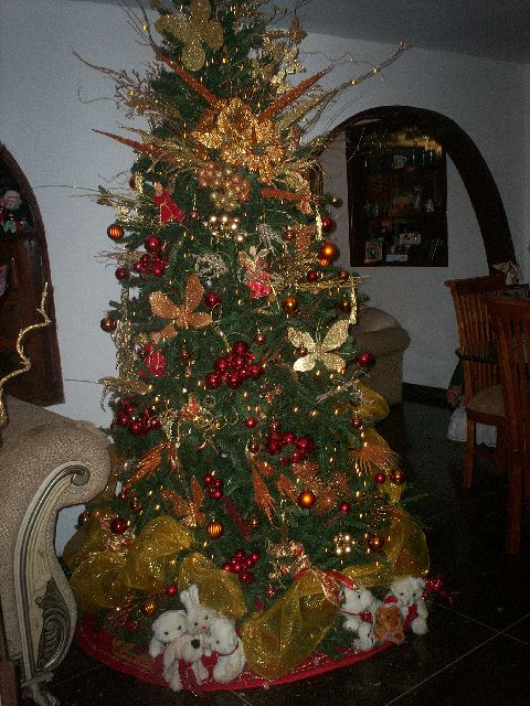 MIRIANGELA ALEJANDRA OLAVES ATENCIO (MARACAIBO EDO ZULIA)