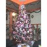 Familia Angulo Flores's Christmas tree from M�xico D.F.