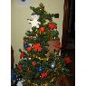 Nagore's Christmas tree from Bilbao, Espa�a