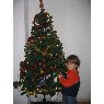 Angel's Christmas tree from Valencia, Espa�a