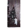 Gabriela Garc�a (Familia Vivas Garc�a)'s Christmas tree from El Carmen, Manabi, Ecuador