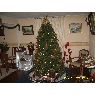 Weihnachtsbaum von TERESA EDITH (VI�A DEL MAR - CHILE)