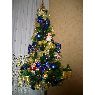 Bego�a Robres's Christmas tree from Bilbao, Vizcaya, Espa�a