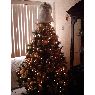 Weihnachtsbaum von Mario Lechuga (M�xico D.F.)