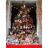 Carmen Carlota Ordas Gomez's Christmas tree from Madrid  (Espa�a)