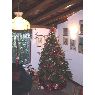 Weihnachtsbaum von Adriana Alvarez (Caracas, Venezuela)