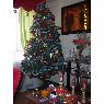 Weihnachtsbaum von Fabiola Vidad (Arica, Chile)