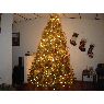 Sapin de No�l de Altagracia Villacorta (San Salvador, El Salvador)