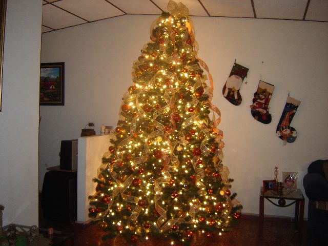 Altagracia Villacorta (San Salvador, El Salvador)
