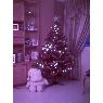 Lore's Christmas tree from Madrid